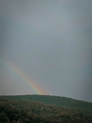 Regenbogen Mavrovo NP
