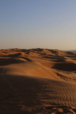 Arabian Oryx Camp, Oman 