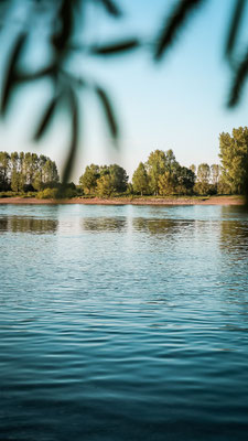 Rheinaue, Köln
