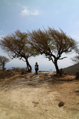 Tawi Attair, Oman