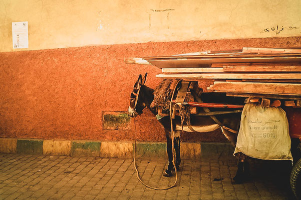 Marrakesch 