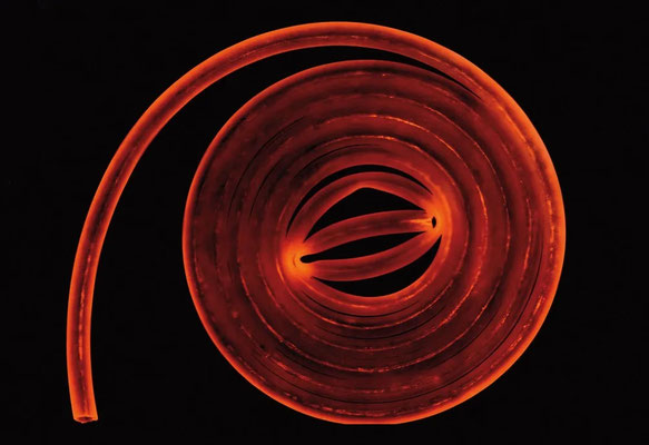 Hans Kupelwieser, Ohne Titel, Fotogramm auf Film auf pulverbeschichtetem Aluminium, 70 x 100 cm