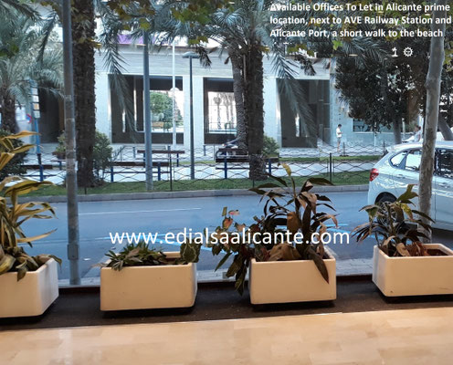 La ubicación es un factor determinante para el éxito de cualquier negocio, por ello ofrecemos Locales a pie de calle con posibilidad adicional de aparcamiento, junto al Puerto de Alicante, alta visibilidad, perfectos para toda actividad y empresa 