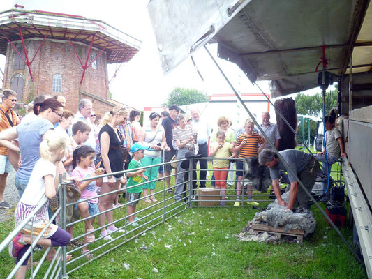 Mühlentag