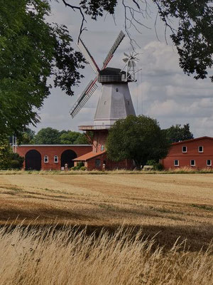 Mühlenansichten