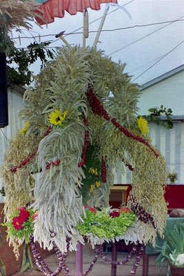 Jubiläumserntefest