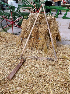Mühlentag
