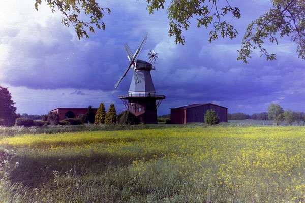 Mühlenansicht