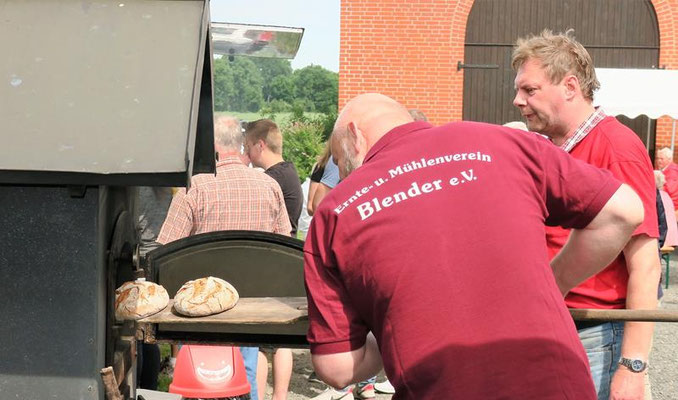 Deutscher Mühlentag