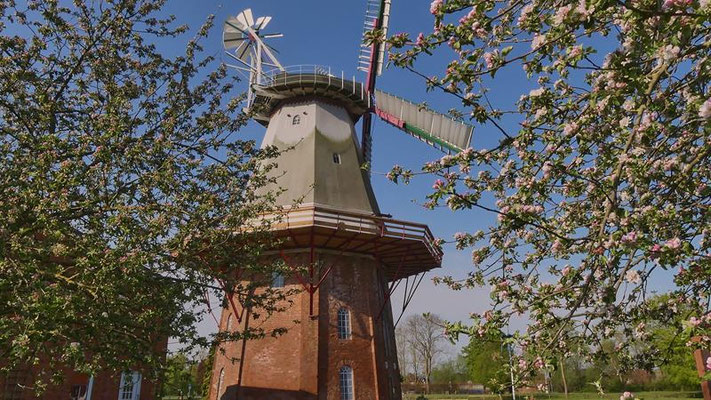 Mühlenansichten