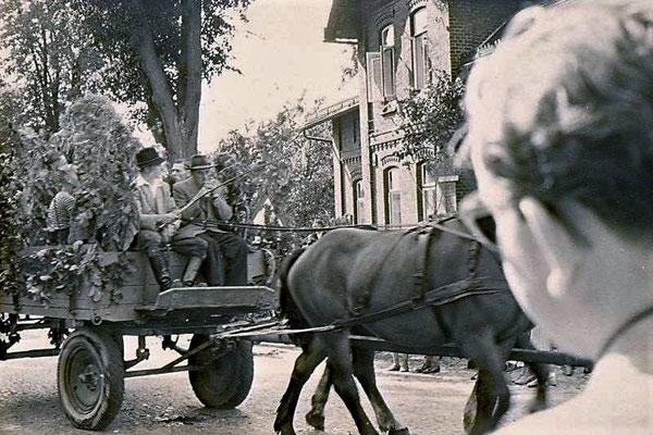 Erntefest