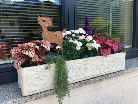 Blumendekoration am Apart Rauch im Zillertal - Nähe Mayrhofen