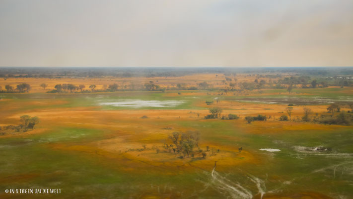 Okavango Delta Botswana