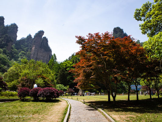Zhangjiajie National Forest Park Avatar Berge in China