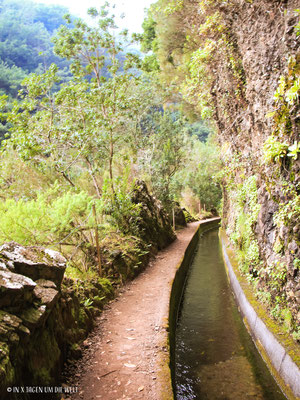 Wanderungen auf Madeira wandern
