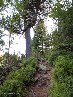 Wanderung Olperer Hütte Schlegeisspeicher Zillertal