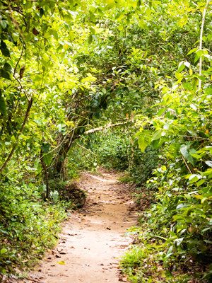Cahuita Nationalpark in Costa Rica