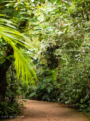 Iguazu Vogelpark Parque das Aves Brasilien