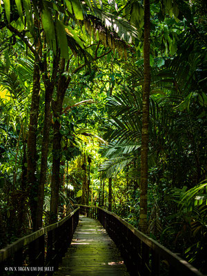 Cahuita Nationalpark in Costa Rica