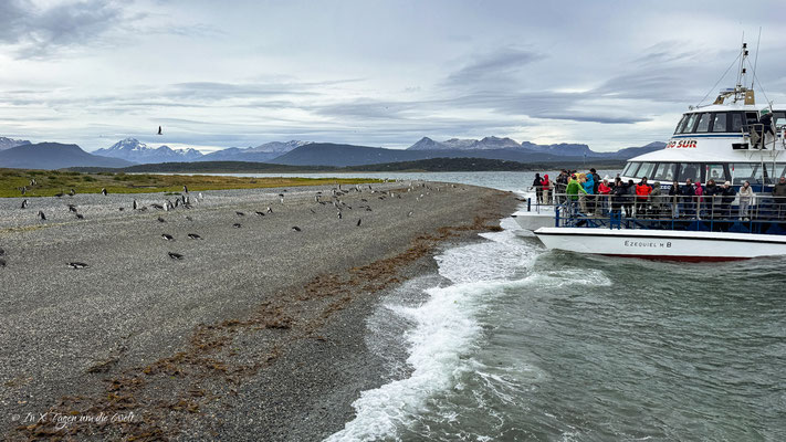 Beagle Kanal Bootstour Martillo Island ab Ushuaia