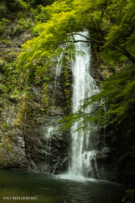 Minoh Wasserfall Katsuo Ji Tempel Osaka