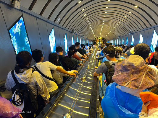Zhangjiajie Tianmen Mountain