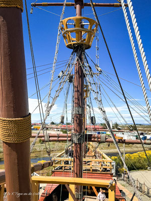 Punta Arenas in Chile – Sehenswürdigkeiten und Ausflüge