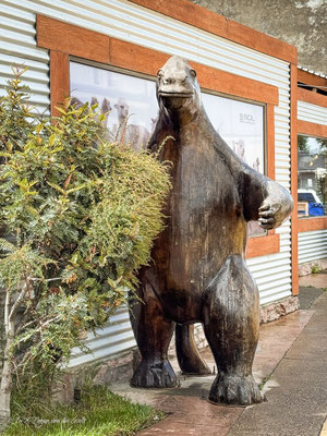 Puerto Natales in Chile – Sehenswürdigkeiten und Ausflüge