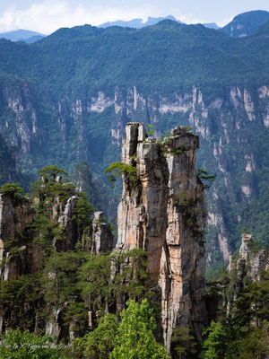 Zhangjiajie National Forest Park Avatar Berge in China