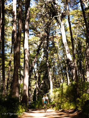 San Carlos de Bariloche in Argentinien