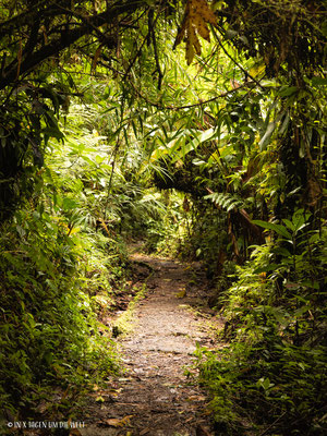 Monteverde Costa Rica