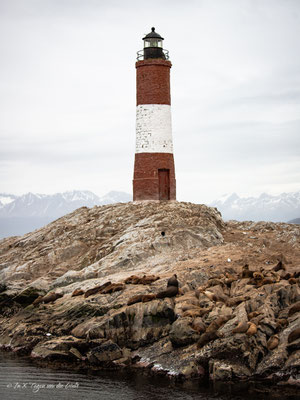 Beagle Kanal Bootstour Martillo Island ab Ushuaia