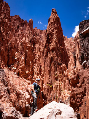 4 Tage Roadtrip durch Jujuy ab Salta in Argentinien