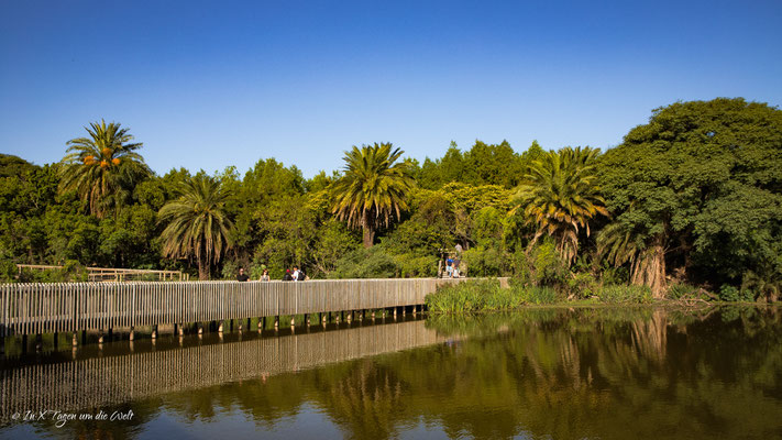 Buenos Aires Sehenswürdigkeiten, Reisetipps & Highlights der Hauptstadt