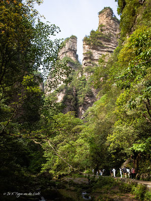 Zhangjiajie National Forest Park Avatar Berge in China