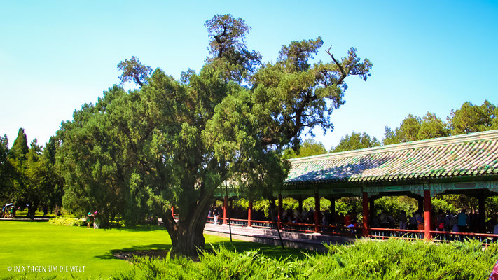 Peking Sehenswürdigkeiten