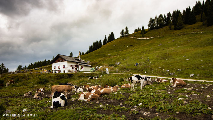 Col de la Puina Cortina d’Ampezzo Dolomiten