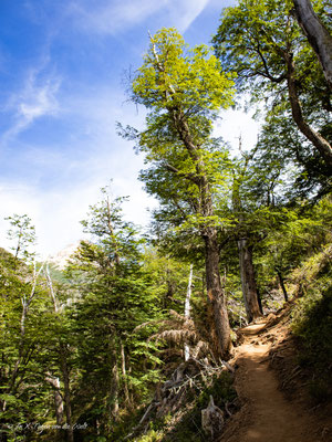 Wanderung Refugio Frey ab Bariloche