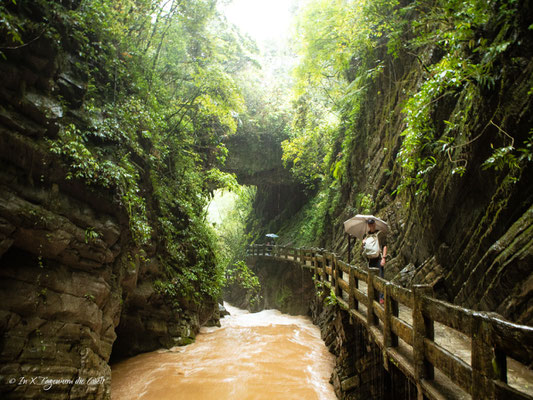 Wulong Karst China Tagestour