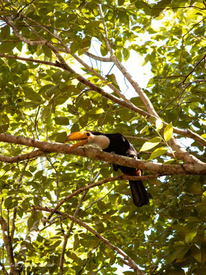 Iguazu Wasserfälle Argentinien Tipps Anfahrt Eintritt Bootstour