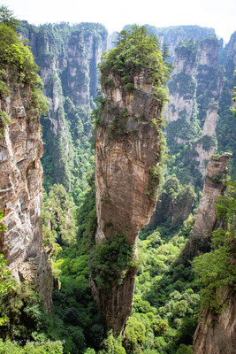 Zhangjiajie National Forest Park Avatar Berge in China