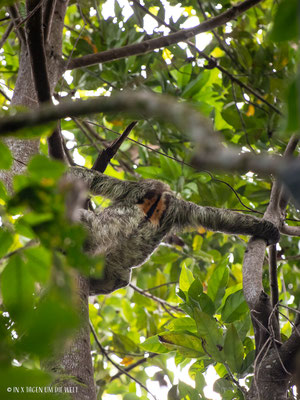 Puerto Viejo en Costa Rica