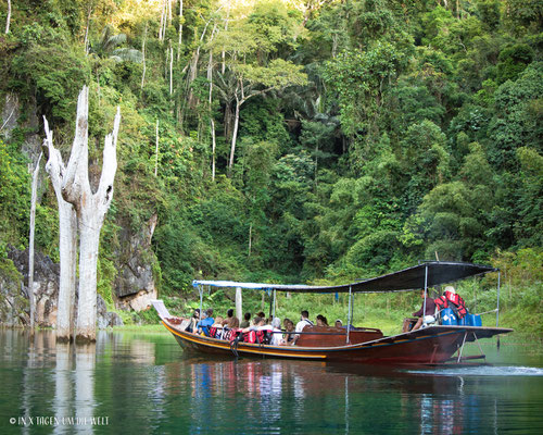 Khao Sok Thailand