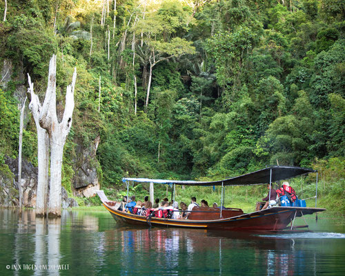 Khao Sok Thailand