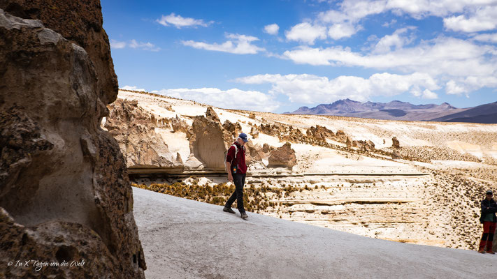 Pillones Wasserfall & Steinwald von Puruña Tagestour ab Arequipa