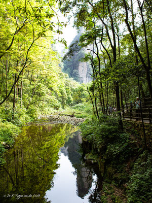 Zhangjiajie National Forest Park Avatar Berge in China