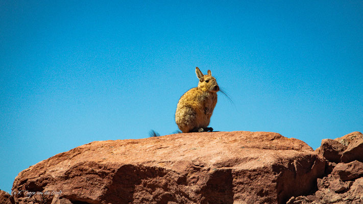 San Pedro de Atacama Sehenswürdigkeiten, Ausflüge Atacama Wüste