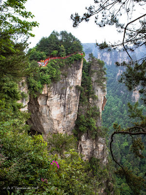 Zhangjiajie National Forest Park Avatar Berge in China