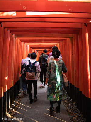 Fushimi Inari Shrine Kyoto Japan