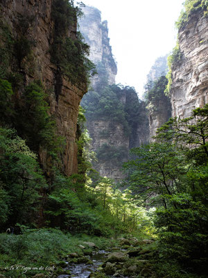 Zhangjiajie National Forest Park Avatar Berge in China